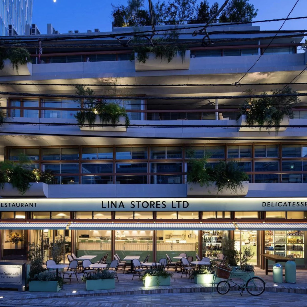 Lina Stores, Japan