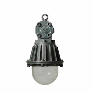 Smaller industrial Maxlume pendants