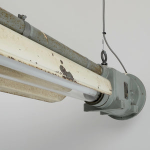 English Fluorescent Light -REDUCED-