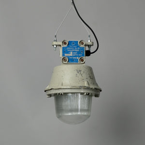 Berkeley Powerstation Holophane Pendants